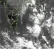Low pressure in Andaman Sea moving towards Andhra Pradesh coast