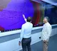 Chandrababu Naidu Reviews Cyclone Arnab Damage in Andhra Pradesh
