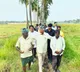 CM Chandrababu Naidu assures help to Andhra farmers for crop loss due to cyclone