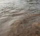 Chandrababu and Lokesh comments on Penna river mishap