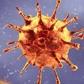UK Corona strain found in Warangal man who returns from Britain