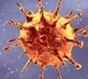 UK Corona strain found in Warangal man who returns from Britain