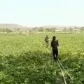 Madhya Pradesh Farmers in Budhni and Nasrullaganj of Sehore district beat