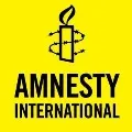 amnesty internations halts its activities in india