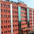 Orissa High Court directs Ayush to decide on red ant treatment for Covid