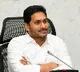 Village volunteers elected as Surpanches