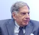 tata on killing elephant