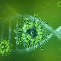 Antibodies Active in Human body for 4 months