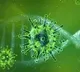 Antibodies Active in Human body for 4 months