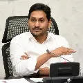 Schools in AP re opens in November