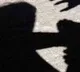 Dalit Family attacked by 20 people in Bapatla