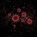 new 518 COVID19 infections in telangana