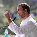 Delhi Congress resolution to elect Rahul Gandhi as party national president