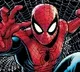 Three brothers hospitalized after trying to become Spider Man
