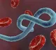 Ebola virus spreading across congo river