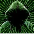 Mumbai police busted fake online shopping sites