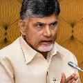 Chandrababu Naidu responds on new farm laws