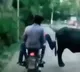 Cyberabad traffic police shares a video and quoted Newton Third Law
