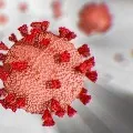 India reports 9309 new COVID19 cases