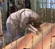 PM Modi inaugurates Netaji musium In Kolkata
