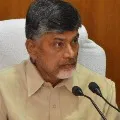 Chandrababu praises party cadre over corona charities