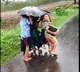 Video of kids in an umbrella viral on Social Media