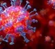 Report on Virus Spread is Not Final Says ICMR