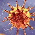 Man comes to India from UK tested corona positive
