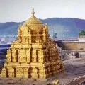 Piligrims Rush in Tirumala