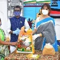 Anasuya helps Pochampally Hand loom workers