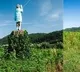 Melania trump wooden statue set on fire in slovenia