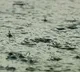 Heavy rains forecast to Andhra Pradesh