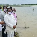 How can you allot these kind of lands for housing plots questions Somu Veerraju