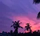 After Amphan dispatched sky in Bhubaneswar turned pink and purple