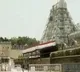Tirumala Darshan Trail run Start