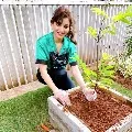 Bollywood actress Urvashi Rautela accepts Green India Challenge initiative