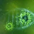 Covid contamination slow downs in Andhra Pradesh