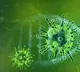 Covid contamination slow downs in Andhra Pradesh