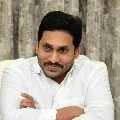 AP govt to give rice cards to transgenders