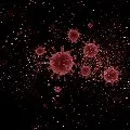 new 592 COVID19 infections in telangana