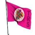 TRS gets lead in sixth round of Dubbaka counting