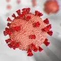 India reports 11666 new COVID19 cases
