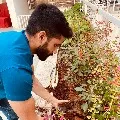 Naga Chaitanya participates in Green India Challenge and further nominated Rakul Preet