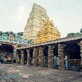 Srisailam Darshans Cancelled another 5 days