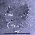 Split signals end for remnant of Antarctic iceberg A68a