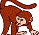 Monkey steals Rs 4 lakhs bag from a old man