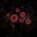 new 472 COVID19 infections in telangana