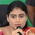 Prabhakar Reddy and Uday Sinha appointed as Shamila party advisors
