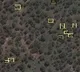 Elephants counted from space for conservation