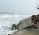 Three days holiday announced in Nellore district due to Nivar cyclone